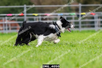 IMG_4050.jpg