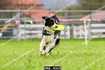 IMG_4315.jpg