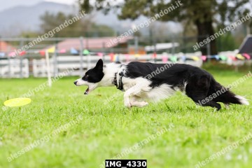 IMG_4330.jpg