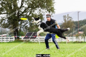 IMG_4358.jpg