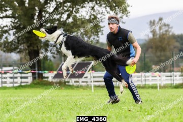 IMG_4360.jpg