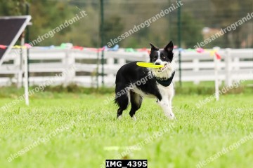 IMG_4395.jpg