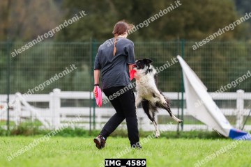 IMG_4589.jpg