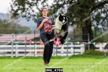 IMG_4709.jpg