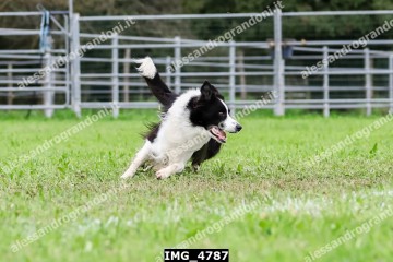 IMG_4787.jpg