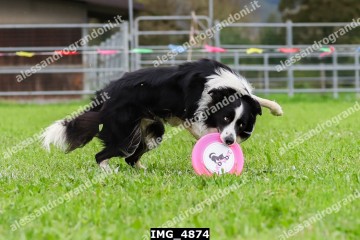IMG_4874.jpg