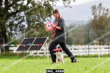 IMG_4988.jpg