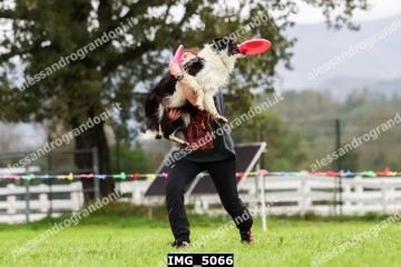 IMG_5066.jpg