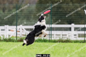 IMG_5121.jpg