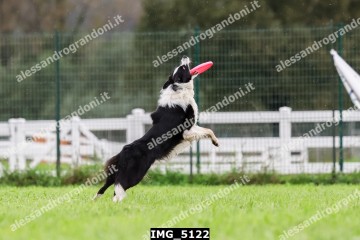 IMG_5122.jpg