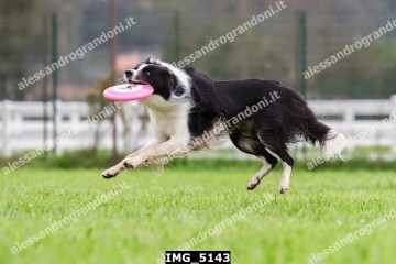 IMG_5143.jpg