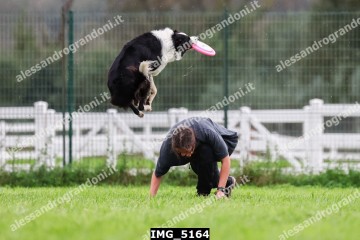IMG_5164.jpg