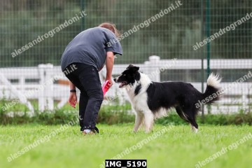IMG_5190.jpg