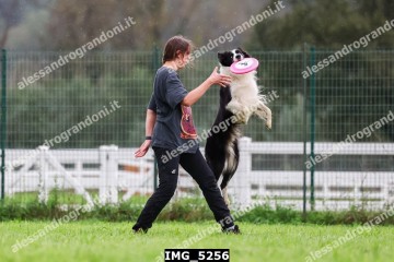 IMG_5256.jpg