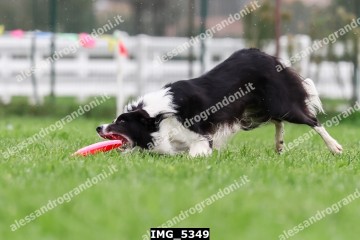 IMG_5349.jpg