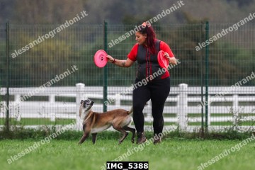 IMG_5388.jpg
