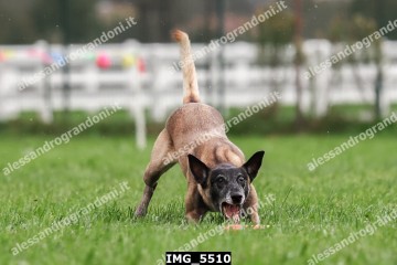 IMG_5510.jpg