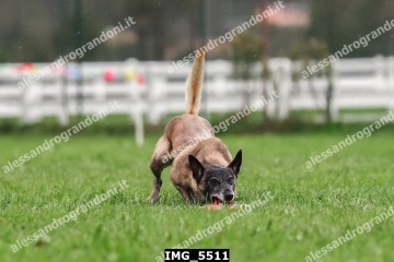IMG_5511.jpg