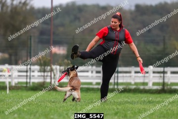 IMG_5547.jpg