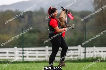 IMG_5600.jpg