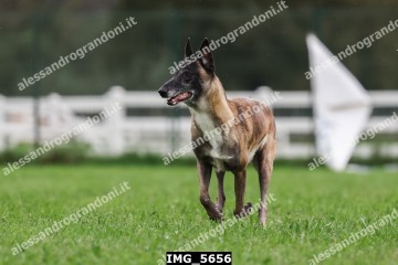 IMG_5656.jpg