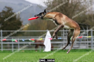 IMG_5856.jpg