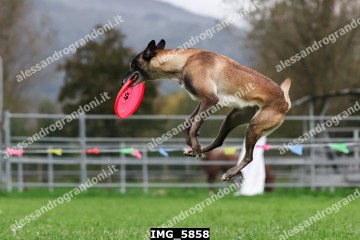 IMG_5858.jpg