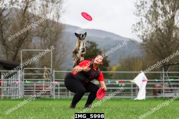 IMG_5998.jpg