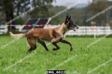 IMG_6022.jpg