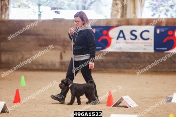 496A1523.jpg