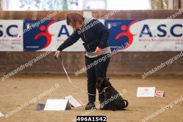 496A1542.jpg