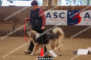 496A1618.jpg