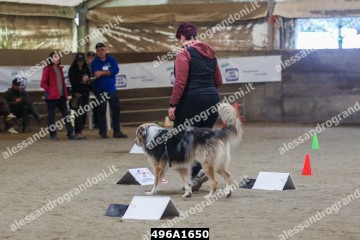 496A1650.jpg