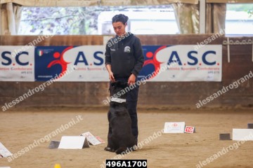 496A1700.jpg