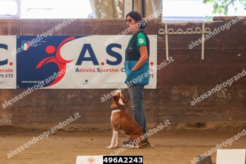 496A2243.jpg