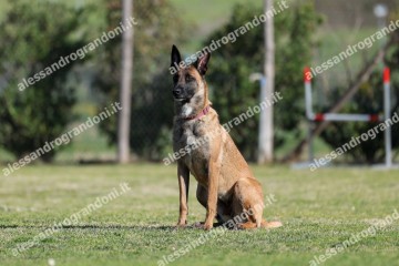 IMG_2153.jpg
