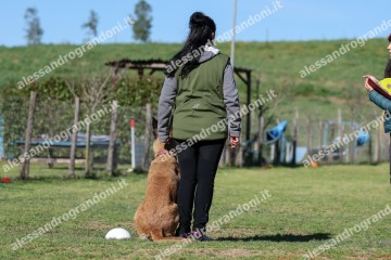 IMG_2673.jpg