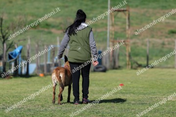 IMG_2678 (2).jpg