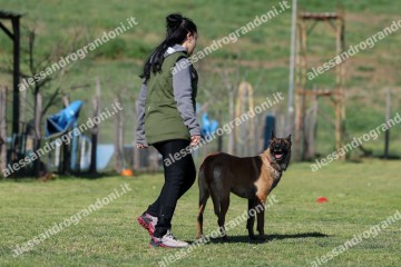 IMG_2696 (2).jpg
