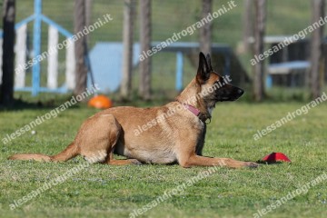 IMG_2702 (2).jpg