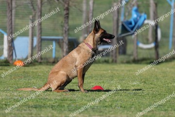 IMG_2709 (2).jpg