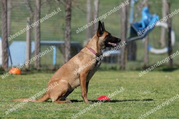 IMG_2718 (2).jpg
