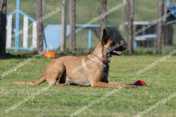 IMG_2721.jpg