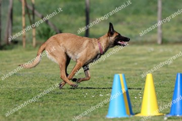 IMG_2732 (2).jpg