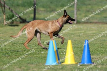 IMG_2734 (2).jpg