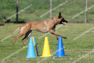 IMG_2736 (2).jpg