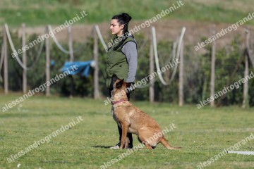 IMG_2768 (2).jpg