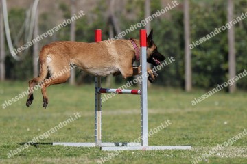 IMG_2781 (2).jpg