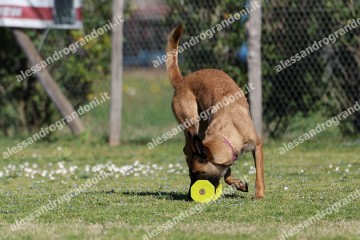 IMG_2794 (2).jpg