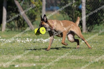 IMG_2801.jpg